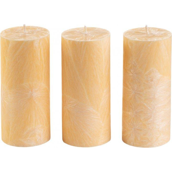 CandlesBio Набір свічок  Palm wax з пальмового воску 3 шт Ваніль (WP 13 70/150_3) - зображення 1