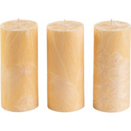 CandlesBio Набір свічок  Palm wax з пальмового воску 3 шт Ваніль (WP 13 70/150_3)