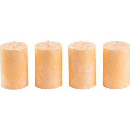 CandlesBio Набір свічок  Palm wax із пальмового воску 4 шт Ваніль (WP 13 70/100_4)