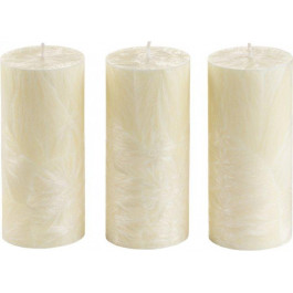 CandlesBio Набір свічок  Palm wax із пальмового воску 3 шт Шампань (WP 08 70/150_3)