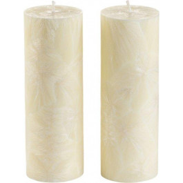 CandlesBio Набір свічок  Palm wax з пальмового воску 2 шт Шампань (WP 08 70/200_2)