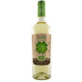 Cinque Segni Вино Vignapura Grillo Organic 0,75 л сухе тихе біле (8051577840119)