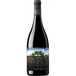 Vintae Вино  La Garnacha Salvaje del Moncayo 0,75 л сухе тихе червоне (8437008635972)