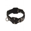 Slash VIP Leather Collar, black (SL280169) - зображення 1
