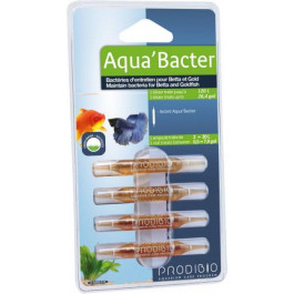 Prodibio Культура бактерий для аквариумов с петушками  Aqua'Bacter 4 ампулы (3594200018721)