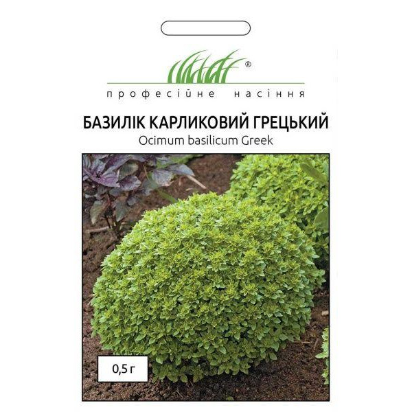 Професійне насіння Семена  базилик карликовый Греческий 0,5 г (4820176690371) - зображення 1