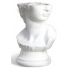 Резон Ваза керамічна  Давид V016Х01 24 см білий (3210937712076) - зображення 1
