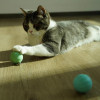 Cheerble Інтерактивний м'ячик для кішок  Ice Cream Ball GREEN (C0419-C GREEN) - зображення 4