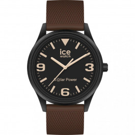 ICE Watch 020607