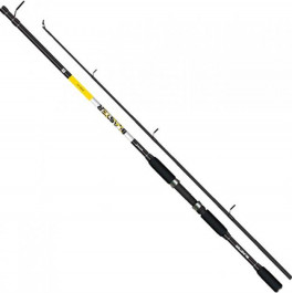 Salmo Blaster Spin 60 / 2.10m 15-60g (2408-210)