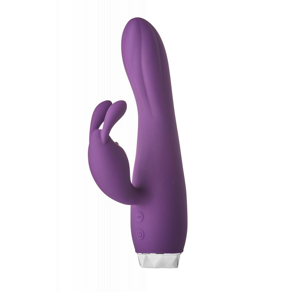 Dream toys FLIRTS RABBIT VIBRATOR PURPLE DT22021 - зображення 1