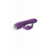 Dream toys FLIRTS RABBIT VIBRATOR PURPLE DT22021 - зображення 3