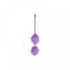 Easytoys Purple Double Vagina Balls (ET27016) (ET27016) - зображення 1