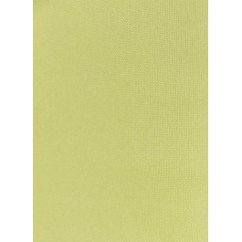 De Zon Ролета тканинна  Fleur Mini 40 x 150 см Зелена (DZ85315040)