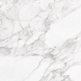 Argenta Ceramica Carrara CARRARA WHITE SHINE 600х600х10