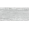 Pastorelli Wi. Silver 120*260 Плитка - зображення 1