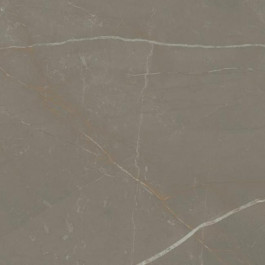   Paradyz Linearstone Taupe Gres Szkl. Rekt. Mat 59.8*59.8 Плитка