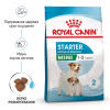 Royal Canin Mini Starter 1 кг (2990010) - зображення 6