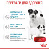Royal Canin Mini Starter 1 кг (2990010) - зображення 7