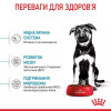 Royal Canin Maxi Puppy 4 кг (30060401) - зображення 6