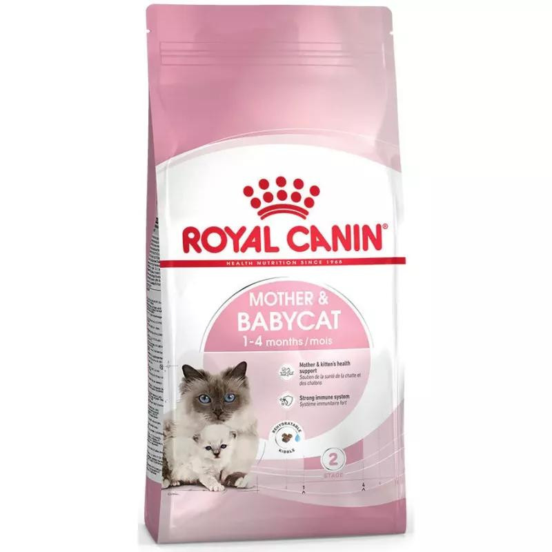 Royal Canin Mother & Babycat 10 кг (2571100) - зображення 1