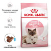 Royal Canin Mother & Babycat 10 кг (2571100) - зображення 10