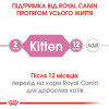 Royal Canin Kitten Instinctive in Jelly 85 г (4150001) - зображення 5