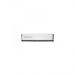Exceleram 16 GB DDR5 5600 MHz Black&White (EBW50160564040C)