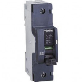   Schneider Electric NG125L, 1P, 25A, D (18833)