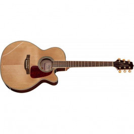   Takamine GD71CE