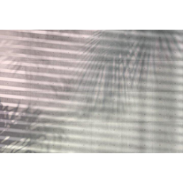 Komar Shadows (XXL4-059) - зображення 1