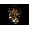 DecoArt Леопард (10148-P8) - зображення 1