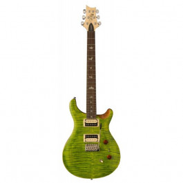 PRS SE Custom 24-8 Eriza Verde (SEC844EV)