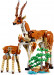 LEGO Creator Дикі тварини сафарі (31150) - зображення 3