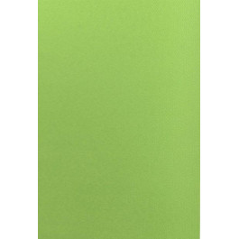 De Zon Ролета тканинна  Leen Mini 50 x 150 см Зелена (DZ02315050)