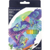 Kite Карандаши цветные акварельные Птицы 36 цветов (K18-1052) - зображення 1