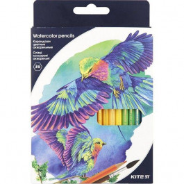 Kite Карандаши цветные акварельные Птицы 36 цветов (K18-1052)