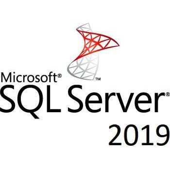 Microsoft SQL Server 2019 1 User CAL Charity Perpetual (DG7GMGF0FKZW_0003CHR) - зображення 1