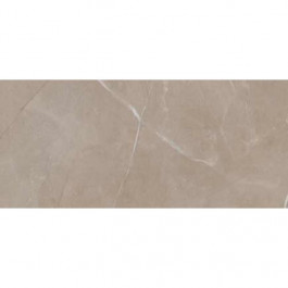 Ecoceramic slabs Nude 60х120