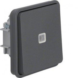 Berker Двухклавишный кнопочный выключатель с подсветкой серый W.1 (30863525)