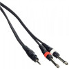 BIG Готовый кабель 1шт мини джек стерео(3,5) - 2шт джек моно(6,3) 10м (YC005 10М) - зображення 1