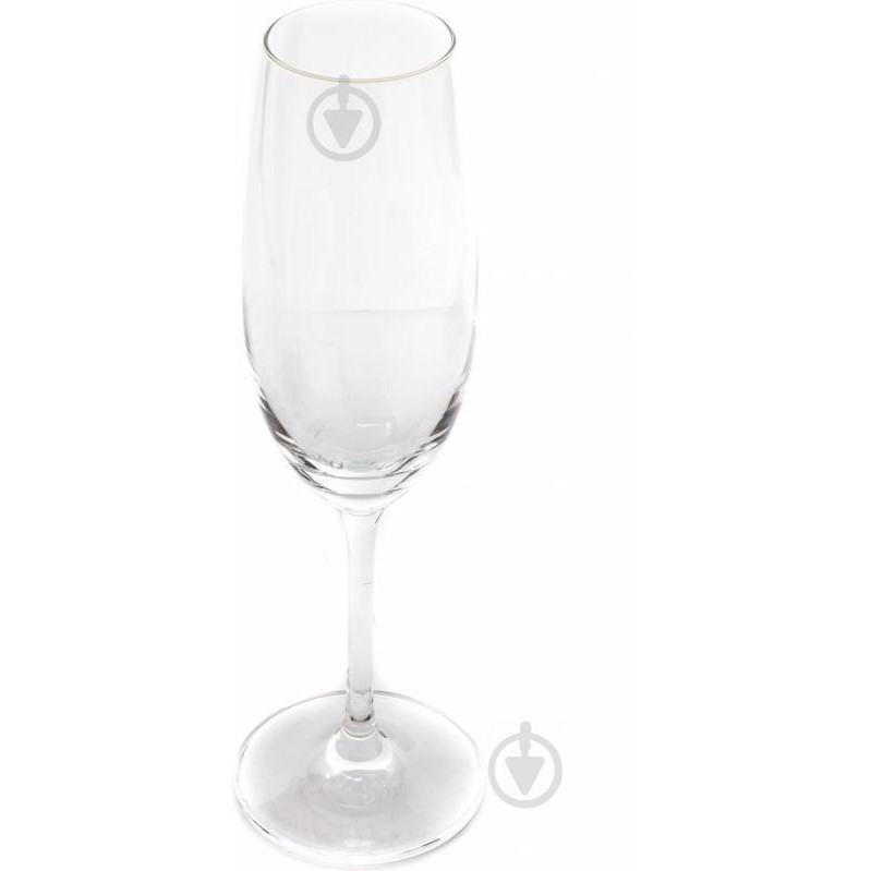 Schott-Zwiesel Набор бокалов для шампанского ELEGANCE 2 шт 230 мл (118540) - зображення 1