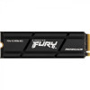 Kingston FURY Renegade 500 GB with Heatsink (SFYRSK/500G)