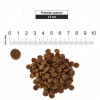 Pronature Holistic Dog Adult Atlantic Salmon&Brown Rice 2,72 кг (ПРХСВАЛКР2_72) - зображення 2
