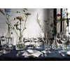 IKEA Набор бокалов для вина STORSINT (ИКЕА СТОРСИНТ) 00396336 (003.963.36) - зображення 2