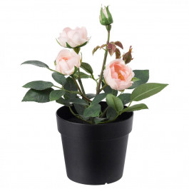 IKEA FEJKA Искусственное растение в горшке, внутри/снаружи, Роза розовый (003.953.13)