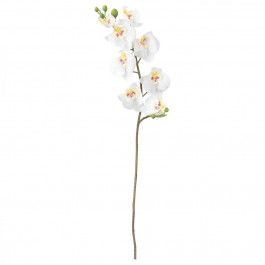 IKEA SMYCKA Искусственный цветок, Орхидея, белый (803.335.85)