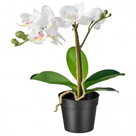 IKEA FEJKA Искусственное растение Белая орхидея, 9 см (002.859.08)