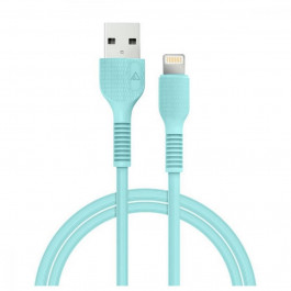 ACCLAB AL-CBCOLOR-L1MT USB to Lightning 1.2m Mint (1283126518195)