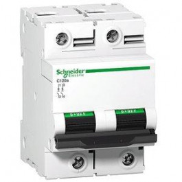 Schneider Electric 125A 15kA 2 полюса тип D (A9N18503) Acti9 С120H